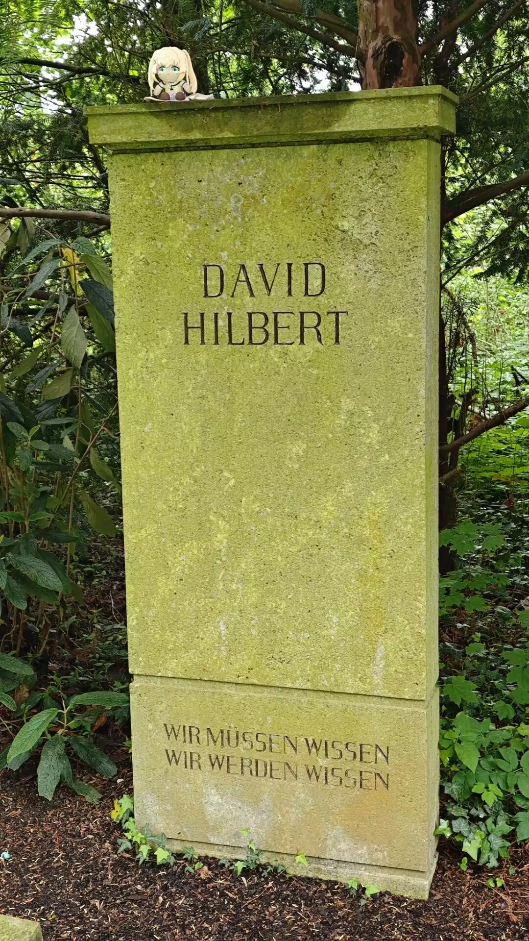 wir-muessen-wissen