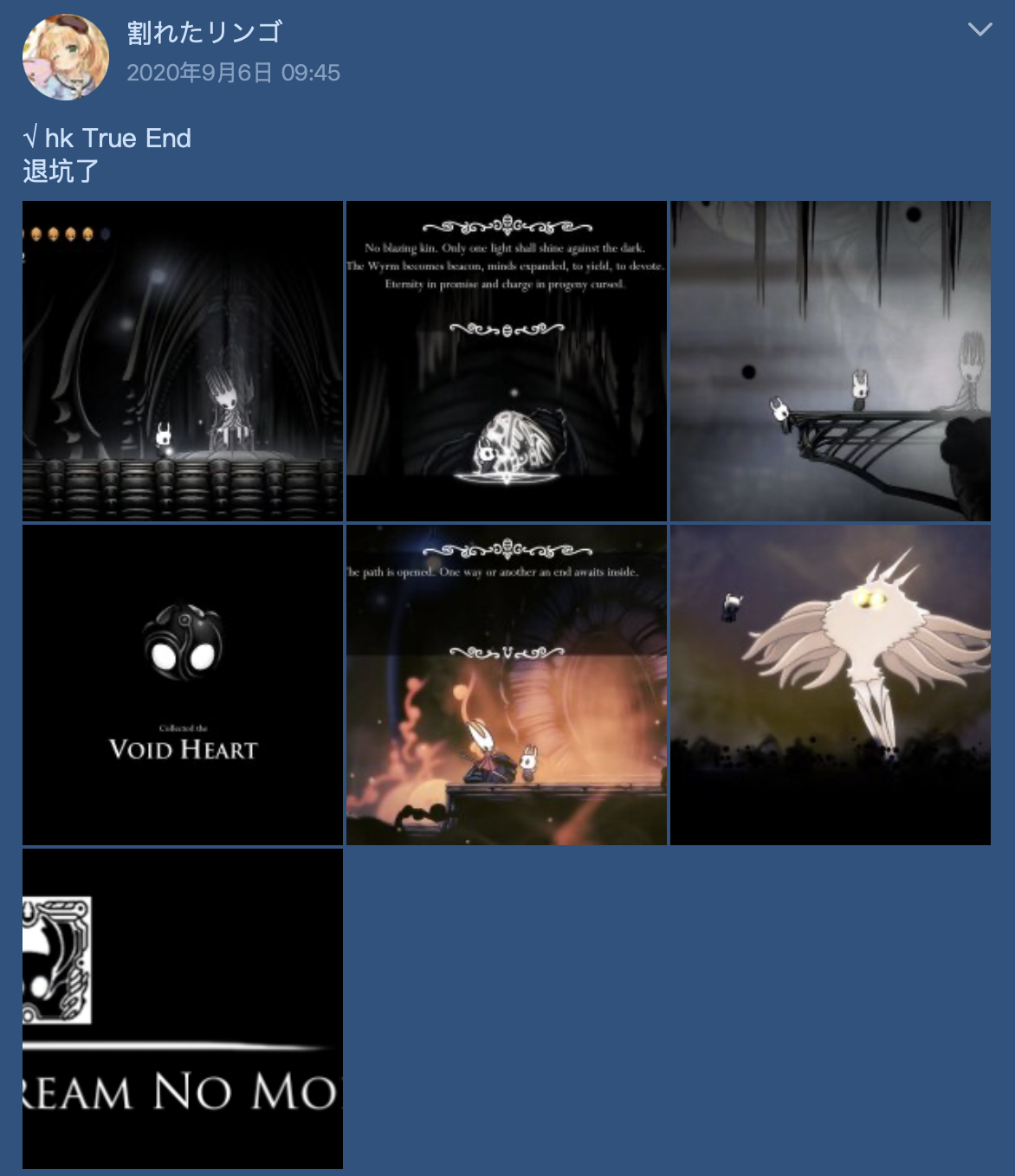 Hollow Knight
